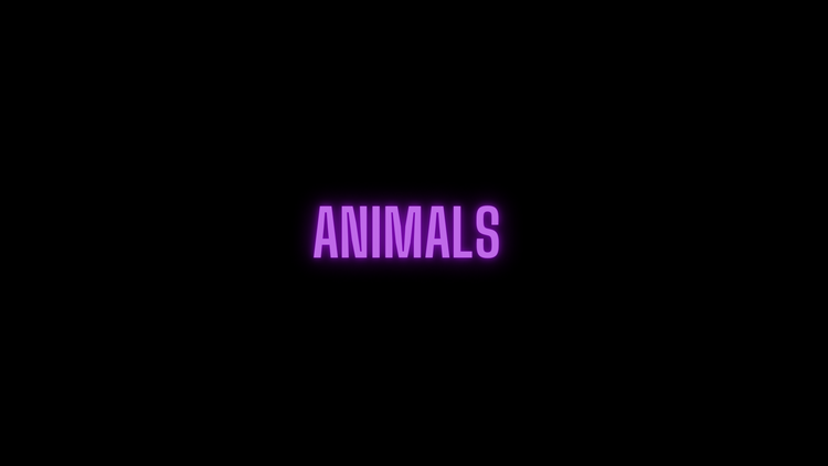 Animals